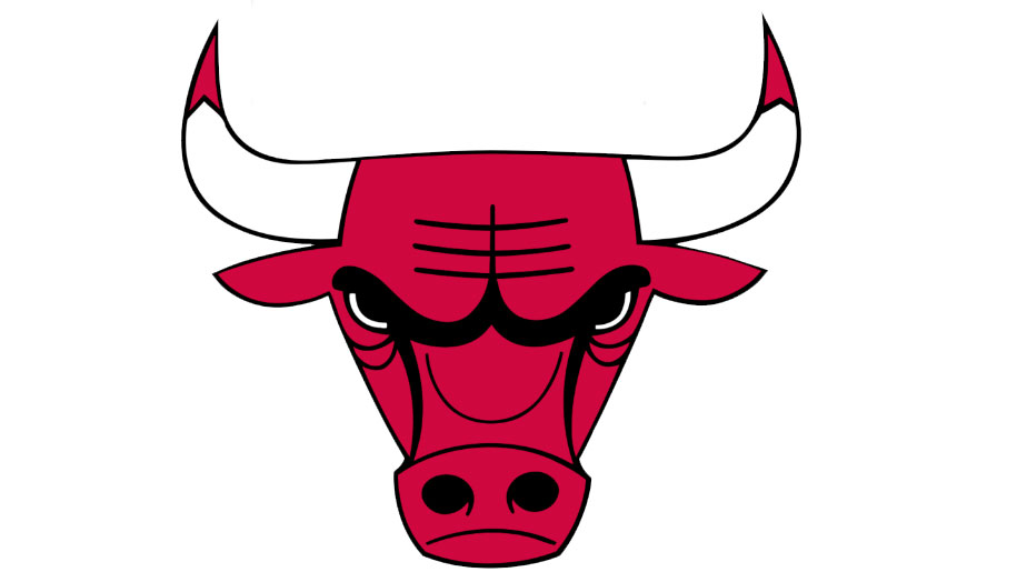 Chicago bulls logo