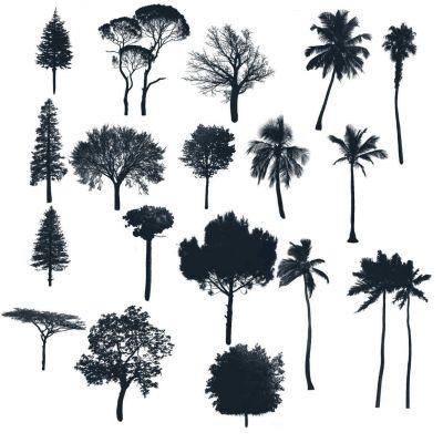 Procreate brush for trees