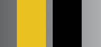 Mustard and Black colors