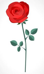 Rose symbol